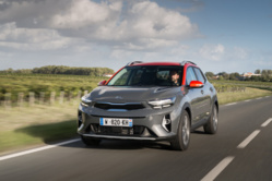 Kia reprend ses gammes pour la rentrée avec des Picanto, Rio et Stonic renouvelées