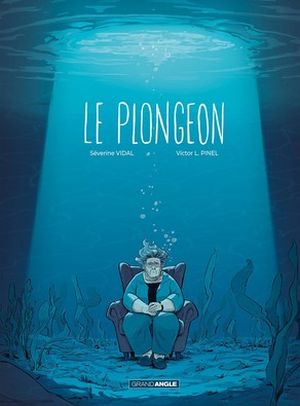 Le Plongeon, DR