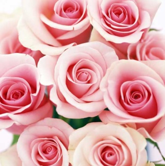 Fête des mères : il n’a pas d’âge pour gâter sa maman Fête des mères : il n’a pas d’âge pour gâter sa maman