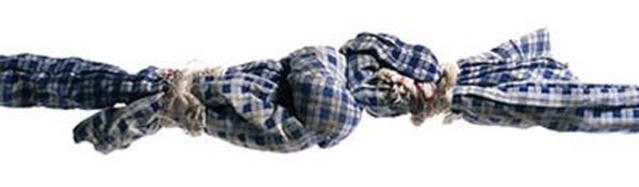 Rouen : un octogénaire se tue en tentant de s’échapper de sa maison de retraite Rouen : un octogénaire se tue en tentant de s’échapper de sa maison de retraite