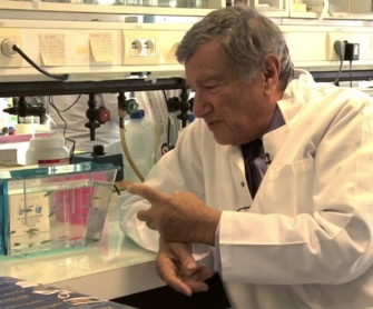 Professeur Etienne-Emile Baulieu Professeur Etienne-Emile Baulieu