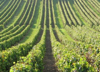 Un tiers des créateurs d’entreprise seniors était au chômage… Un tiers des créateurs d’entreprise seniors était au chômage…