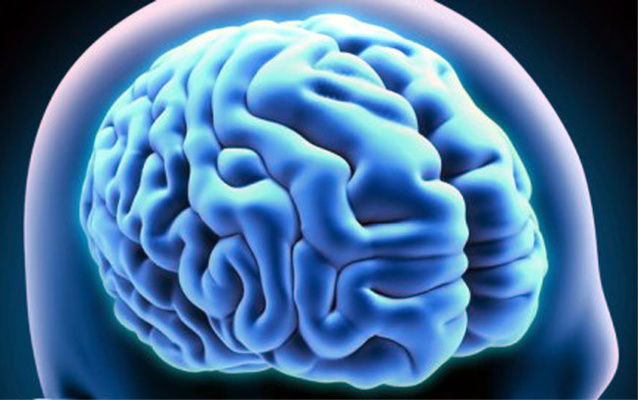 Bilinguisme, cerveau et personnes âgées… Bilinguisme, cerveau et personnes âgées…