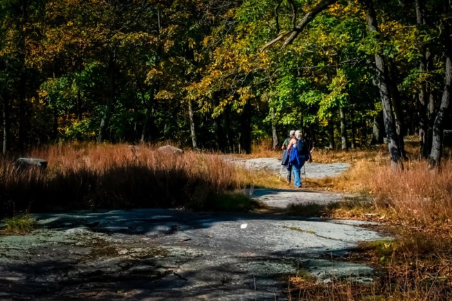 Photo robert thiemann on unsplash
