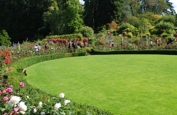 Etes-vous un bon jardinier ? Etes-vous un bon jardinier ?