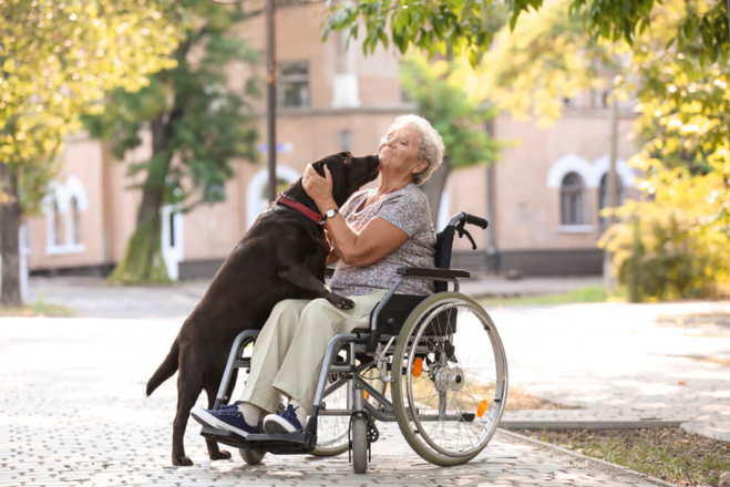 ©Shutterstock