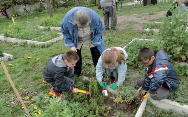 Semaine Bleue à Reims : le Jardin coup de pousse
