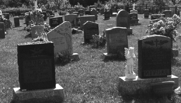Cimetière : dans quelles conditions une commune peut-elle récupérer une concession funéraire ? Cimetière : dans quelles conditions une commune peut-elle récupérer une concession funéraire ?