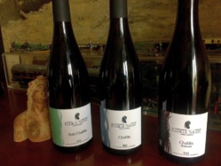 Chablis Famille Savary : une affaire de famille Chablis Famille Savary : une affaire de famille