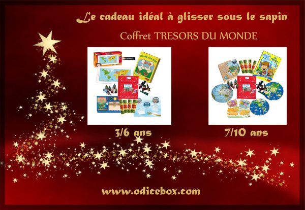 L'incontournable cadeau de Noel : le coffret Odicé, il fait découvrir le monde aux enfants