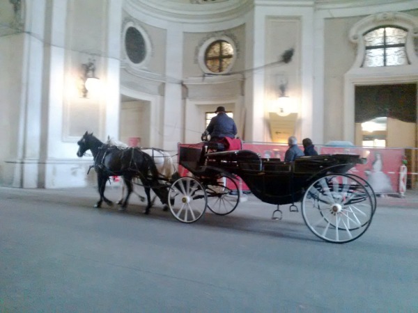 Calèche à Vienne