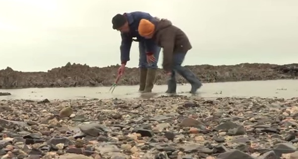 B2V : trois structures récompensées pour leur projets intergénérationnels B2V : trois structures récompensées pour leur projets intergénérationnels