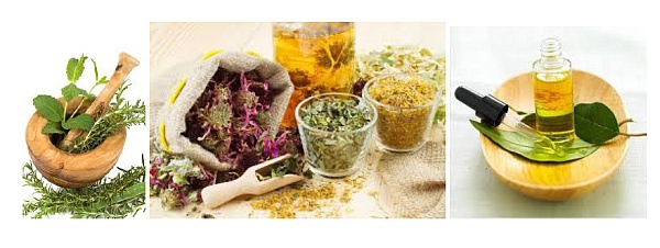 Salon Bien-être, Médecine douce et Thalasso : ces plantes qui nous soignent... Salon Bien-être, Médecine douce et Thalasso : ces plantes qui nous soignent...