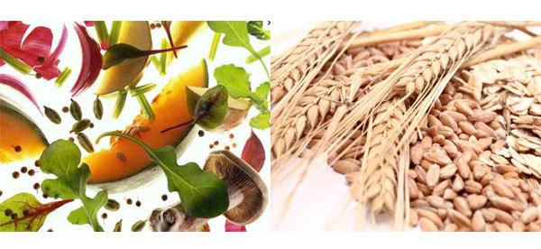 Salon Bien-être, Médecine douce et Thalasso : végétarisme, manger cru et sans gluten Salon Bien-être, Médecine douce et Thalasso : végétarisme, manger cru et sans gluten