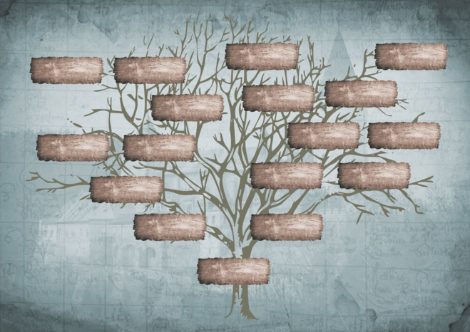 ©Shutterstock ©Shutterstock