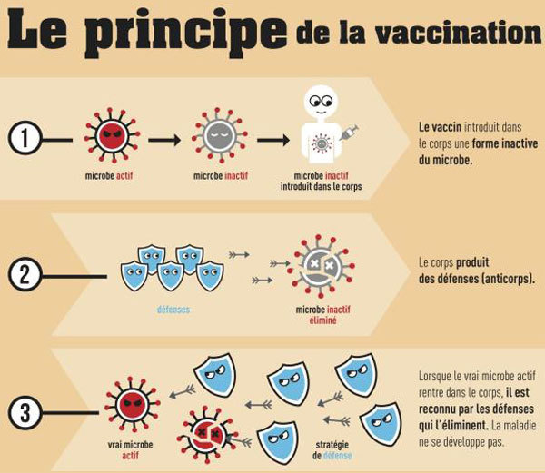 Seniors et vaccinations