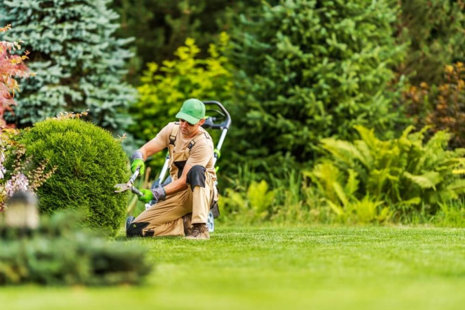 Jardinier professionnel ©Shutterstock