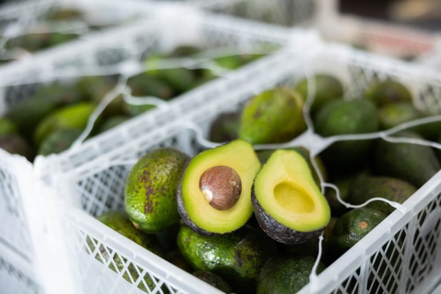 Cagette d'avocats ©Shutterstock