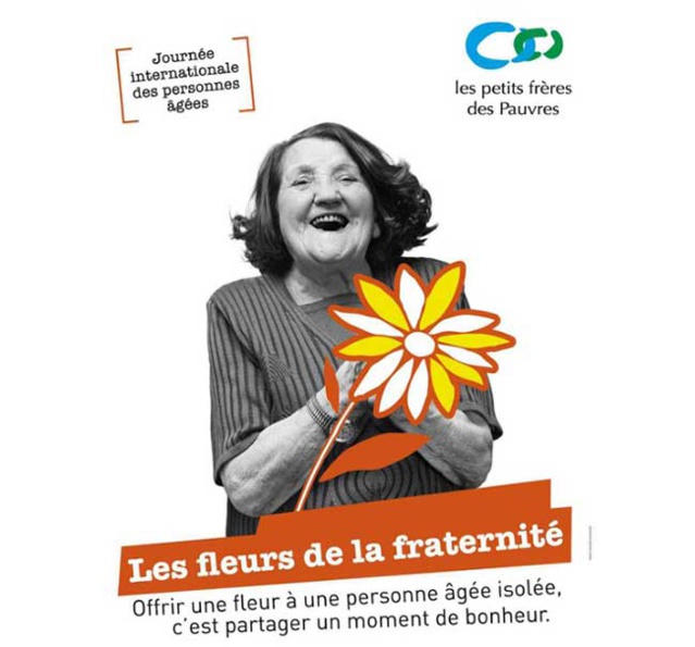 Petit frères des pauvres : les fleurs de la Fraternité 2015 Petit frères des pauvres : les fleurs de la Fraternité 2015