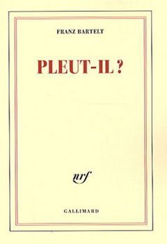 Pleut-il ? de Franz Bartelt