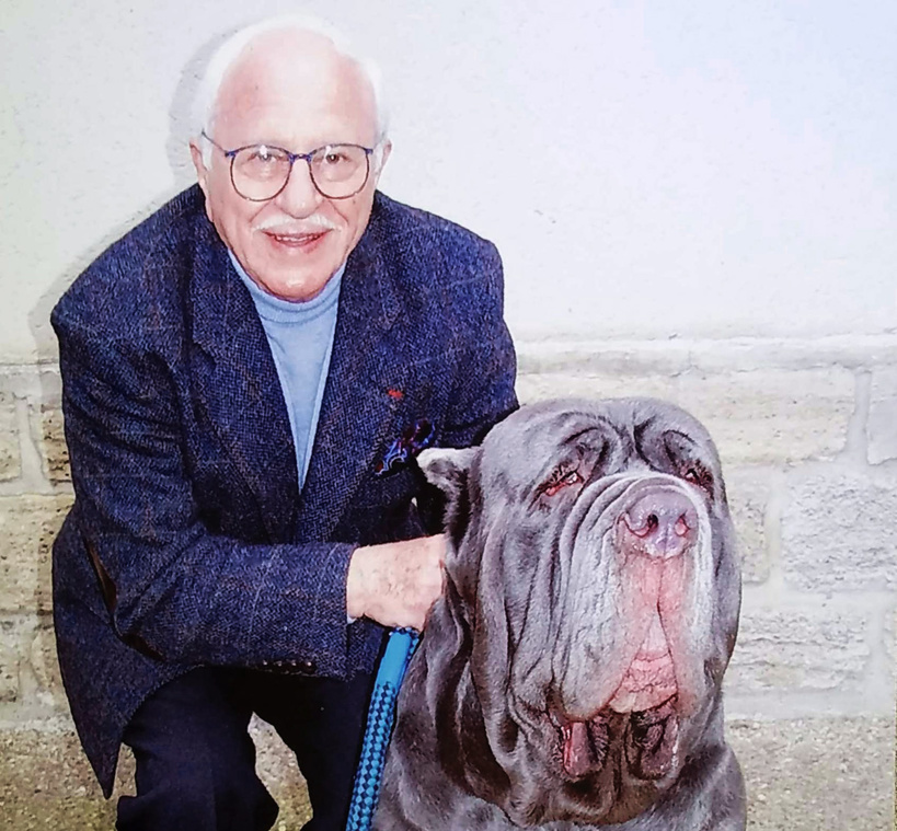 CC BY-SA 4.0 ©Darreenvt CC BY-SA 4.0 ©Darreenvt