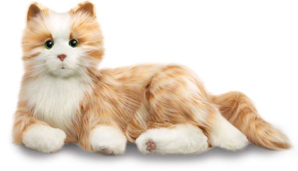 chat Joy for all d'Hasbro chat Joy for all d'Hasbro