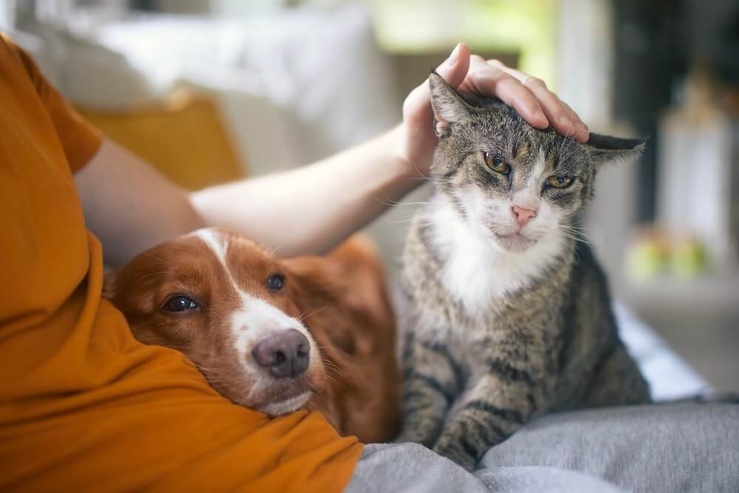 ©Jaromir Chalabala/Shutterstock