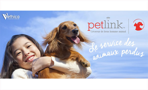 Petlink : une médaille pour retrouver chiens et chats égarés Petlink : une médaille pour retrouver chiens et chats égarés
