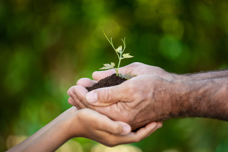 ©Sunny studio/Shutterstock ©Sunny studio/Shutterstock