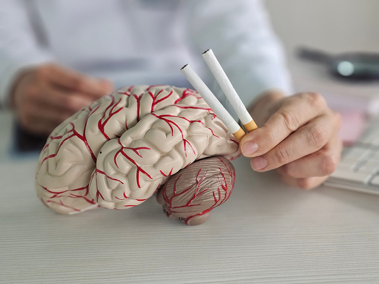 Tabac, mémoire et dépendance : ce qu'il faut (vraiment) savoir Tabac, mémoire et dépendance : ce qu'il faut (vraiment) savoir