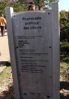 Massif de l’Estérel : profitez des week-ends de mai pour découvrir cette magnifique réserve biologique Massif de l’Estérel : profitez des week-ends de mai pour découvrir cette magnifique réserve biologique