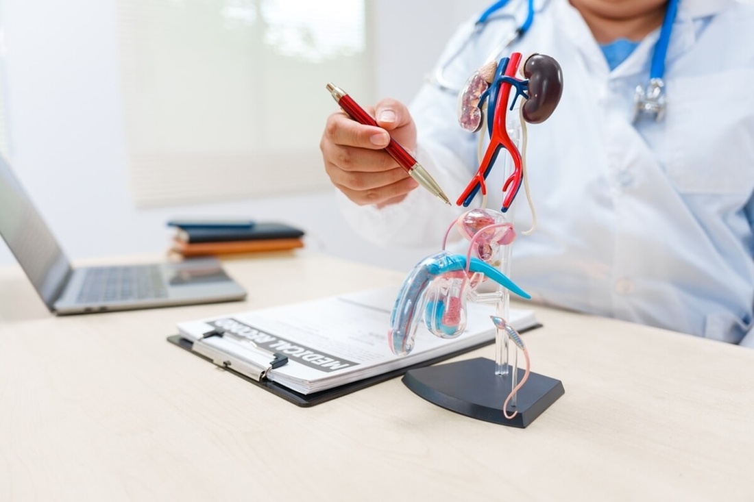 Médecin expliquant le cancer de la prostate à son patient © PanuShot/Shutterstock