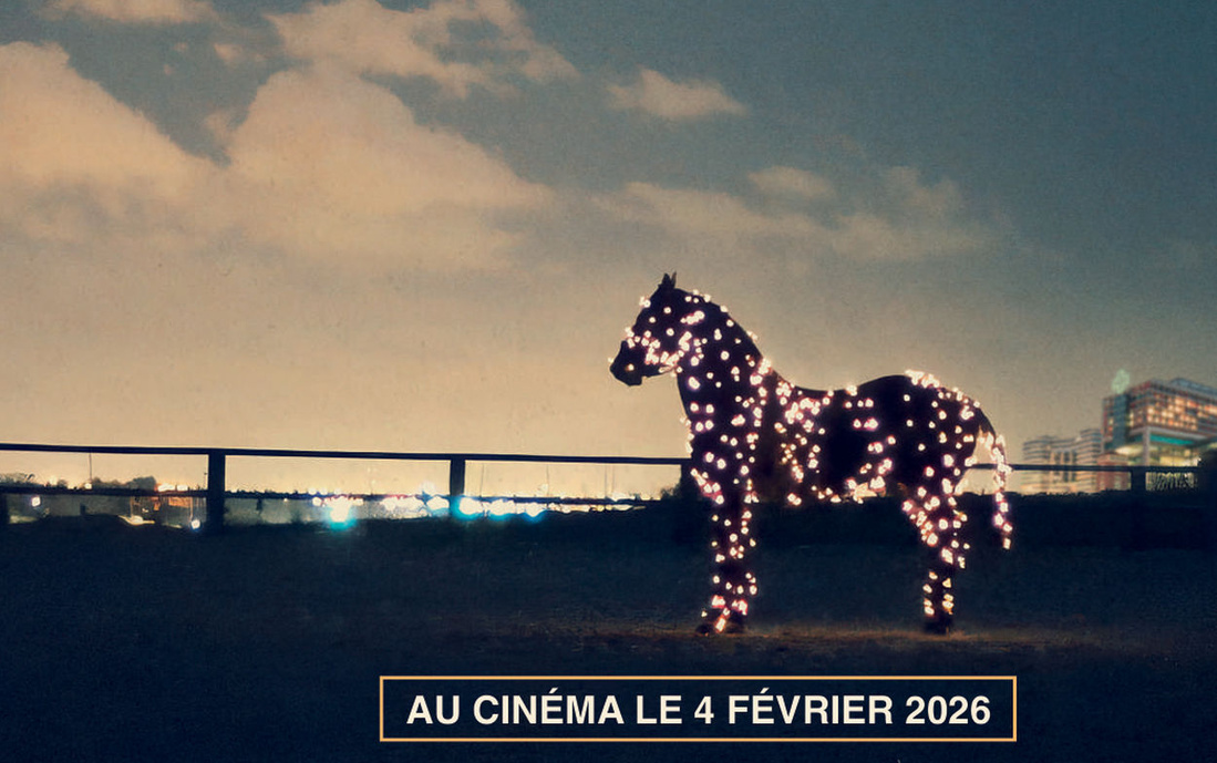 A demain sur la Lune : Peyo le cheval et la fin de vie à l'hôpital A demain sur la Lune : Peyo le cheval et la fin de vie à l'hôpital