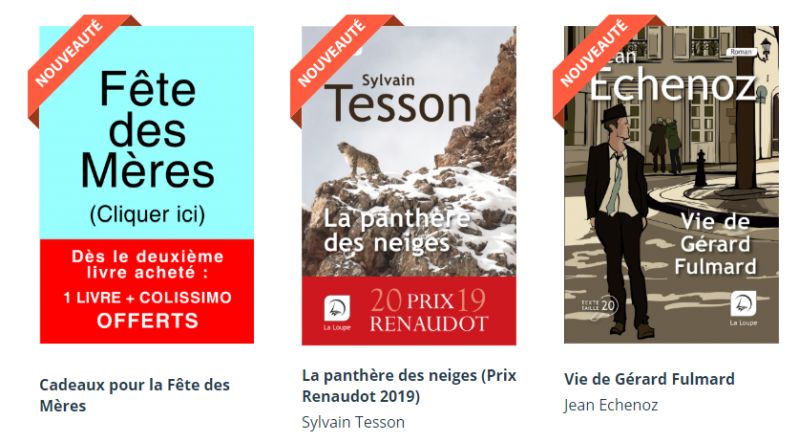 Covid-19 : les livres en "grands caractères" ont le vent en poupe