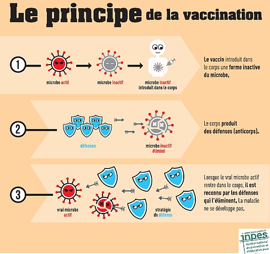 Vaccin : près d’un Français sur cinq n’est pas à jour