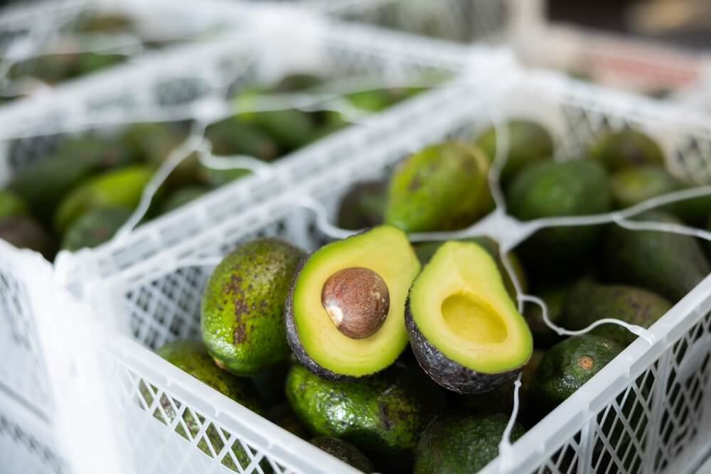 Cagette d'avocats ©Shutterstock