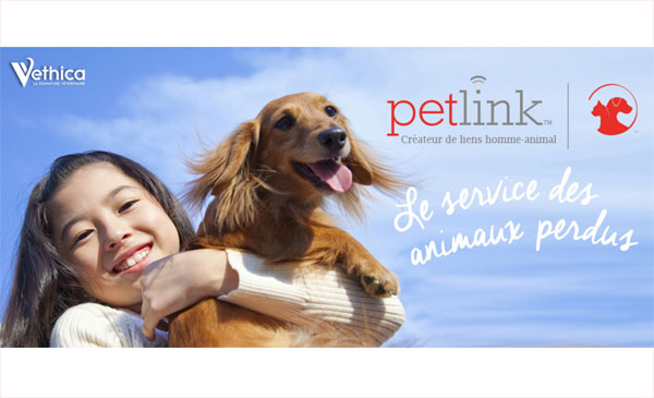 Petlink : une médaille pour retrouver chiens et chats égarés