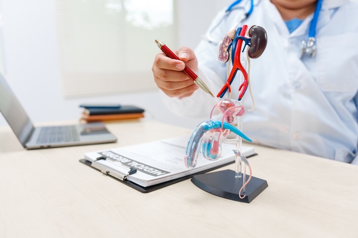 Médecin expliquant le cancer de la prostate à son patient © PanuShot/Shutterstock