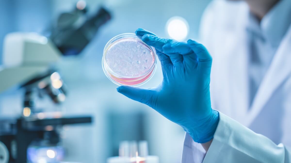 Chercheur examinant des cellules en culture dans un laboratoire de recherche sur le vieillissement © SeniorActu