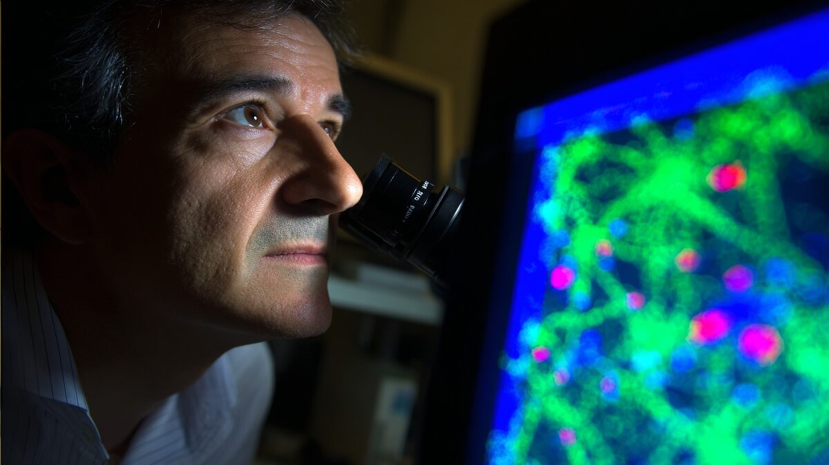 Chercheur observant des cellules cérébrales au microscope © SeniorActu
