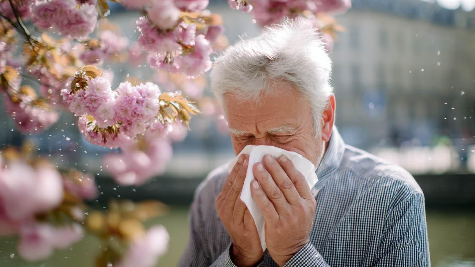 De plus en plus de seniors développent une première allergie au pollen après 60 ans en France en 2026