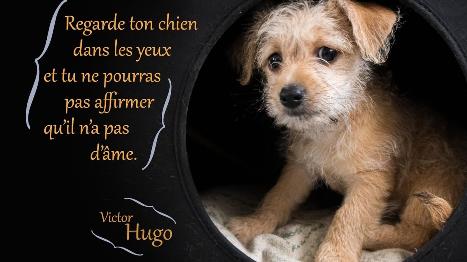 © oligo22 - Magnific.com