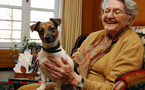 Versailles : des « agents canins » rendent visitent aux seniors isolés…