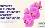 Une orchidée pour la mémoire : une 5ème édition pour lutter contre Alzheimer