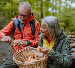 Champignons : cueillette et consommation, soyez prudents !