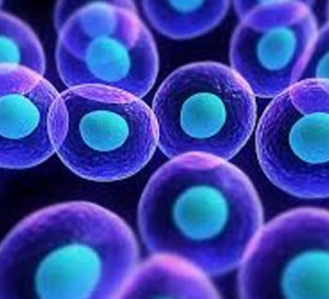 Pasteurdon 2022 : Sars-Cov-2, un virus qui détourne notre réseau de neurones