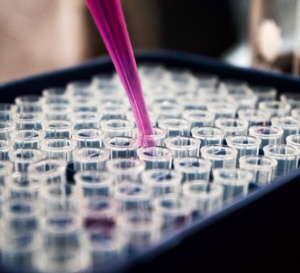 Pasteurdon 2022 : enquête dans le monde des bactéries pathogènes