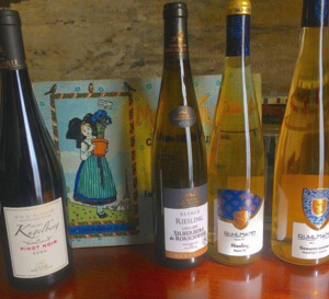 L'Alsace par ses vins : les blancs, mais aussi, les rouges L'Alsace par ses vins : les blancs, mais aussi, les rouges