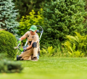 Cultiver le bien-vieillir : par Adrien Silvestre, responsables espaces verts chez Domitys Cultiver le bien-vieillir : par Adrien Silvestre, responsables espaces verts chez Domitys