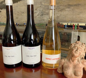 Biologique et vegan : de nouvelles cuvées aux Vignobles Foncalieu Biologique et vegan : de nouvelles cuvées aux Vignobles Foncalieu